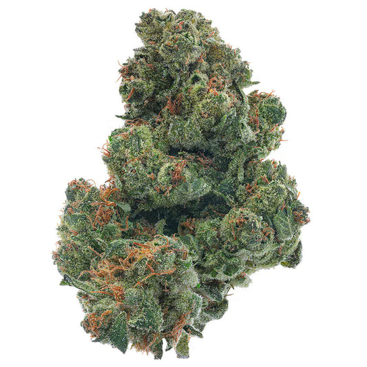Gelato 41